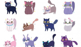 动漫猫,动漫猫的奇幻冒险之旅